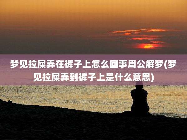 梦见拉屎弄在裤子上怎么回事周公解梦(梦见拉屎弄到裤子上是什么意思)