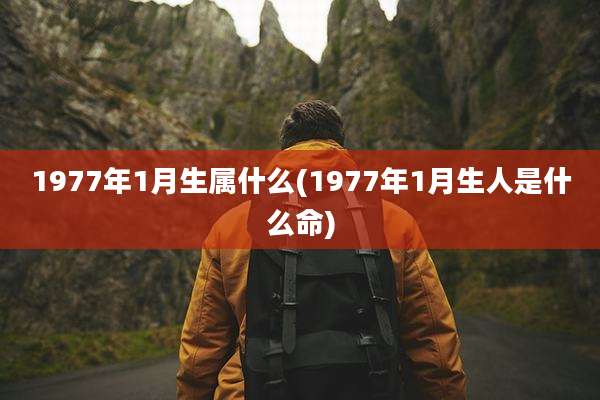 1977年1月生属什么(1977年1月生人是什么命)