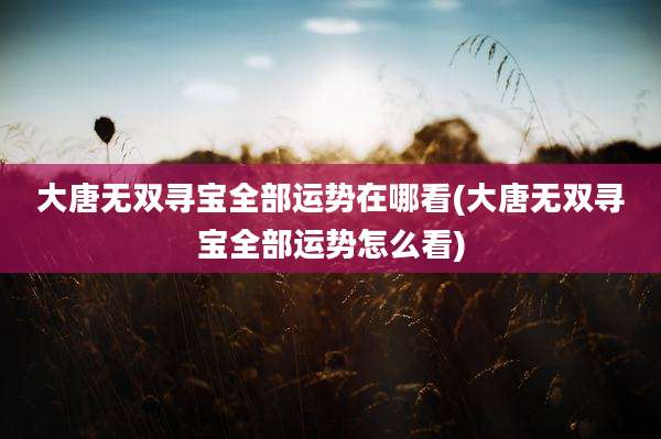 大唐无双寻宝全部运势在哪看(大唐无双寻宝全部运势怎么看)