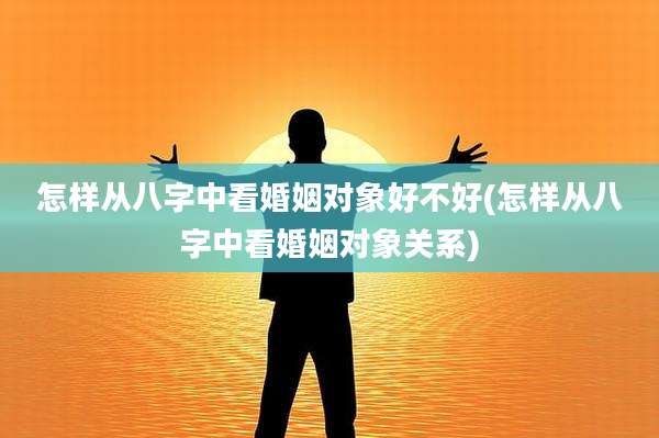 怎样从八字中看婚姻对象好不好(怎样从八字中看婚姻对象关系)