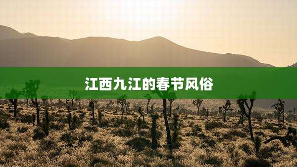江西九江的春节风俗