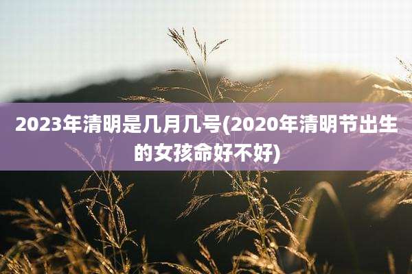 2023年清明是几月几号(2020年清明节出生的女孩命好不好)