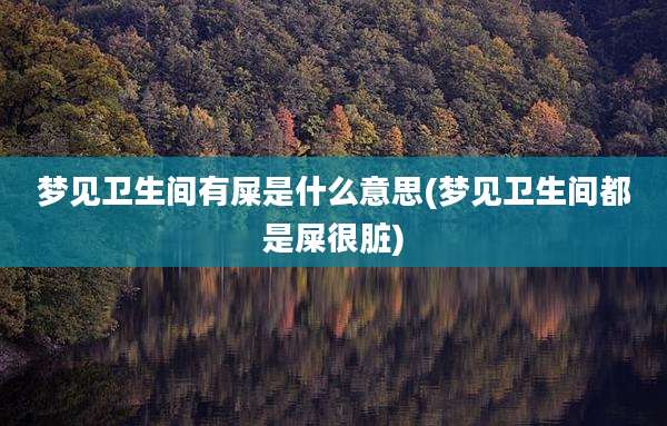 梦见卫生间有屎是什么意思(梦见卫生间都是屎很脏)