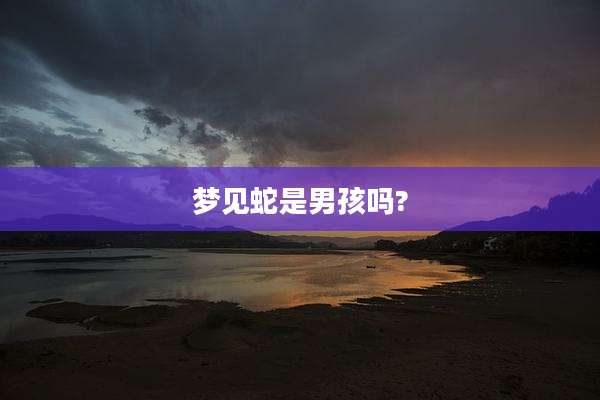 梦见蛇是男孩吗?
