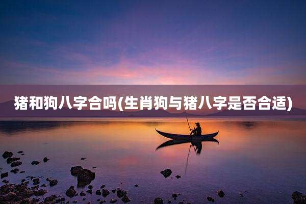 猪和狗八字合吗(生肖狗与猪八字是否合适)