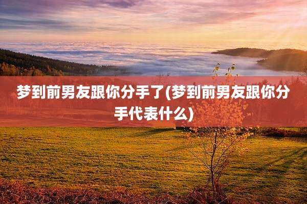 梦到前男友跟你分手了(梦到前男友跟你分手代表什么)