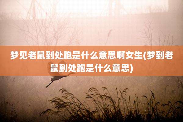 梦见老鼠到处跑是什么意思啊女生(梦到老鼠到处跑是什么意思)
