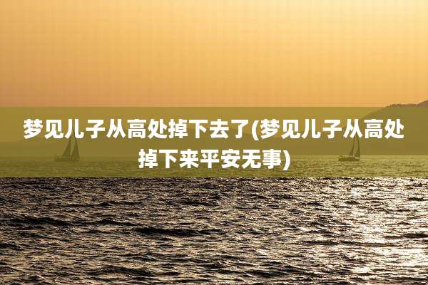 梦见儿子从高处掉下去了(梦见儿子从高处掉下来平安无事)