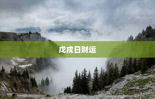 戊戌日财运