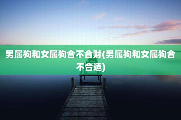 男属狗和女属狗合不合财(男属狗和女属狗合不合适)