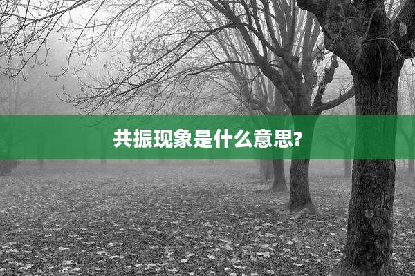 共振现象是什么意思?