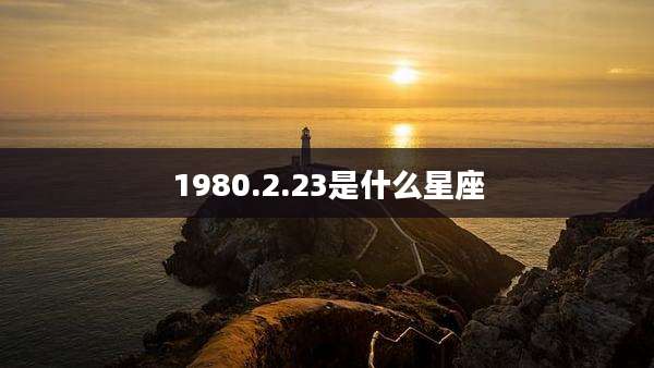 1980.2.23是什么星座