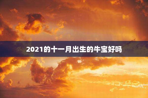 2021的十一月出生的牛宝好吗