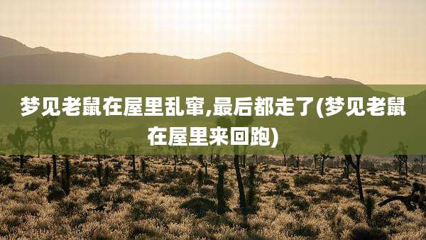 梦见老鼠在屋里乱窜,最后都走了(梦见老鼠在屋里来回跑)