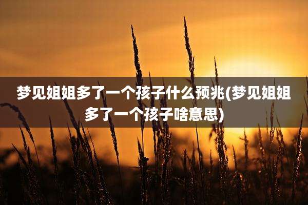 梦见姐姐多了一个孩子什么预兆(梦见姐姐多了一个孩子啥意思)