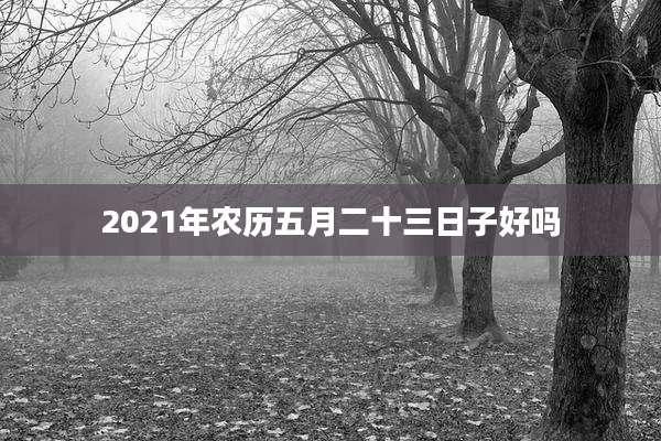 2021年农历五月二十三日子好吗