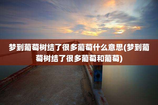 梦到葡萄树结了很多葡萄什么意思(梦到葡萄树结了很多葡萄和葡萄)