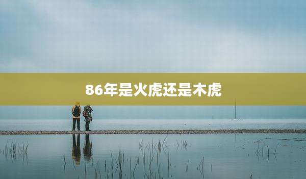 86年是火虎还是木虎