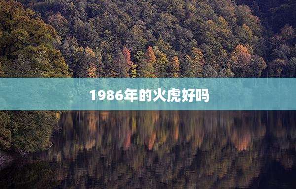 1986年的火虎好吗