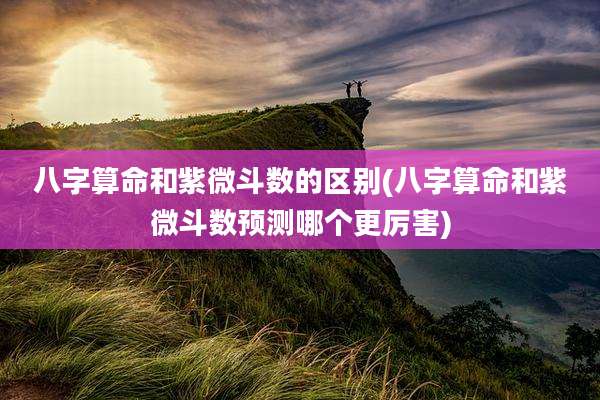 八字算命和紫微斗数的区别(八字算命和紫微斗数预测哪个更厉害)