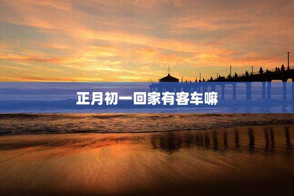 正月初一回家有客车嘛