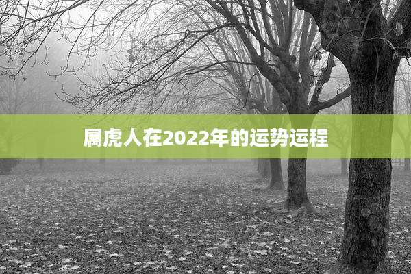 属虎人在2022年的运势运程