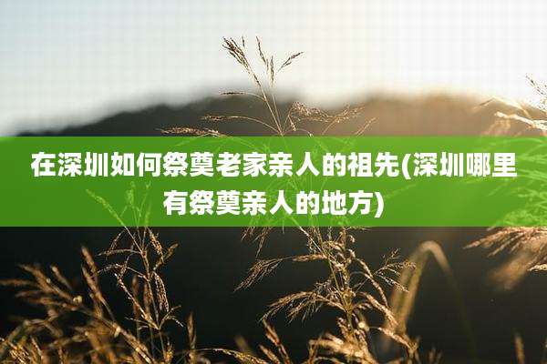 在深圳如何祭奠老家亲人的祖先(深圳哪里有祭奠亲人的地方)