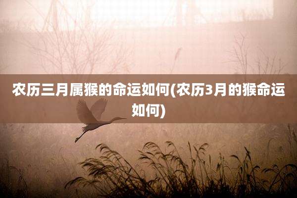 农历三月属猴的命运如何(农历3月的猴命运如何)