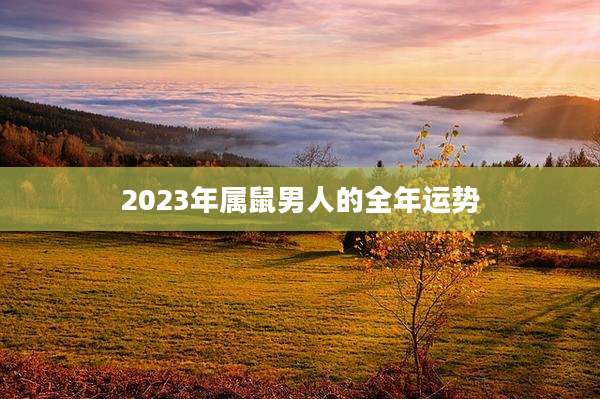 2023年属鼠男人的全年运势