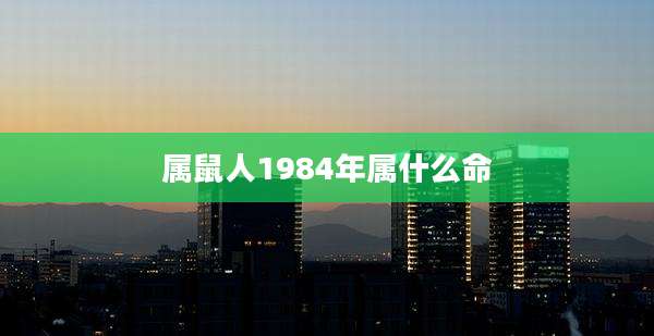 属鼠人1984年属什么命