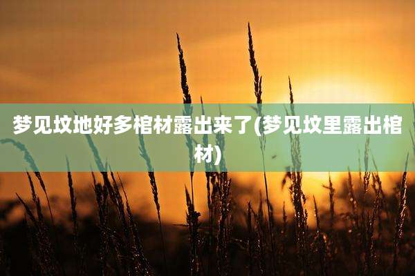 梦见坟地好多棺材露出来了(梦见坟里露出棺材)