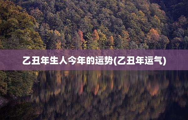 乙丑年生人今年的运势(乙丑年运气)