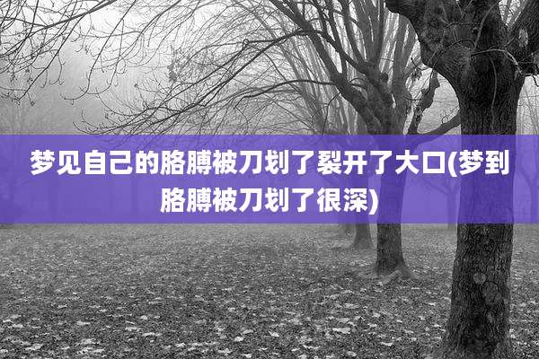 梦见自己的胳膊被刀划了裂开了大口(梦到胳膊被刀划了很深)
