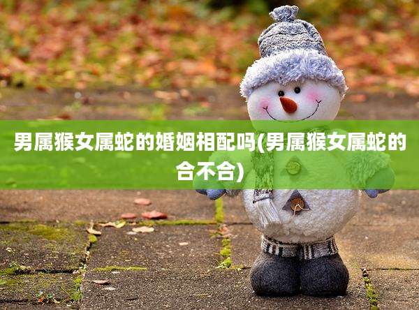 男属猴女属蛇的婚姻相配吗(男属猴女属蛇的合不合)
