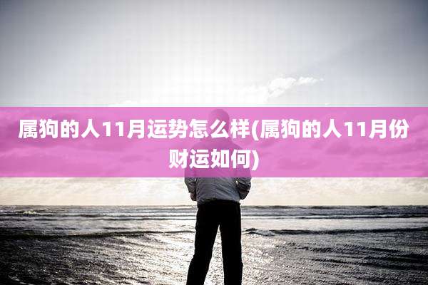 属狗的人11月运势怎么样(属狗的人11月份财运如何)