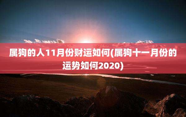 属狗的人11月份财运如何(属狗十一月份的运势如何2020)