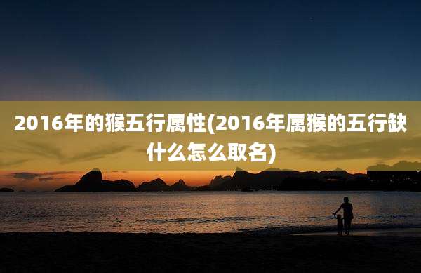 2016年的猴五行属性(2016年属猴的五行缺什么怎么取名)