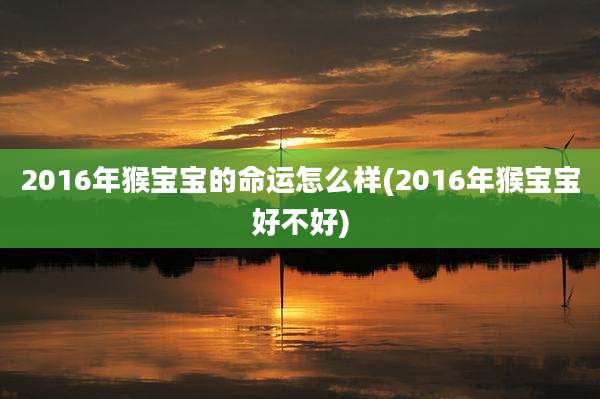 2016年猴宝宝的命运怎么样(2016年猴宝宝好不好)