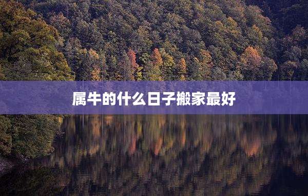 属牛的什么日子搬家最好