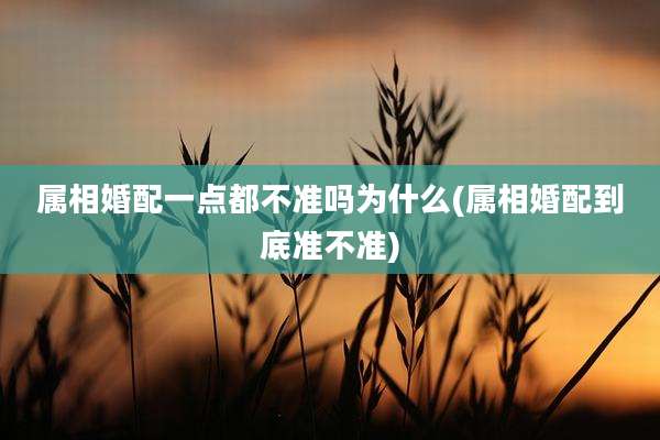 属相婚配一点都不准吗为什么(属相婚配到底准不准)