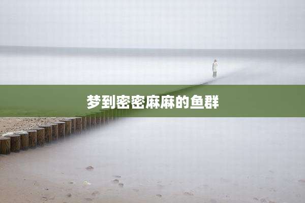 梦到密密麻麻的鱼群