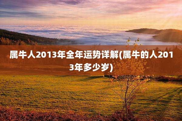 属牛人2013年全年运势详解(属牛的人2013年多少岁)