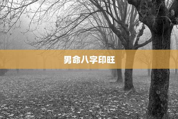 男命八字印旺