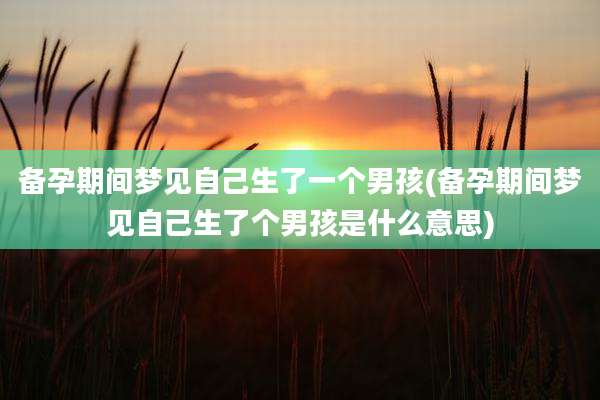 备孕期间梦见自己生了一个男孩(备孕期间梦见自己生了个男孩是什么意思)