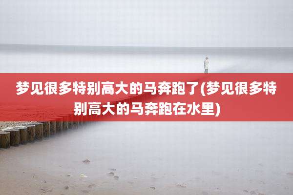 梦见很多特别高大的马奔跑了(梦见很多特别高大的马奔跑在水里)