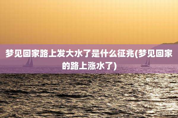 梦见回家路上发大水了是什么征兆(梦见回家的路上涨水了)