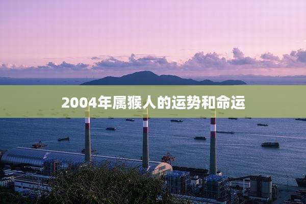 2004年属猴人的运势和命运
