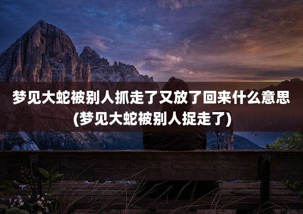 梦见大蛇被别人抓走了又放了回来什么意思(梦见大蛇被别人捉走了)