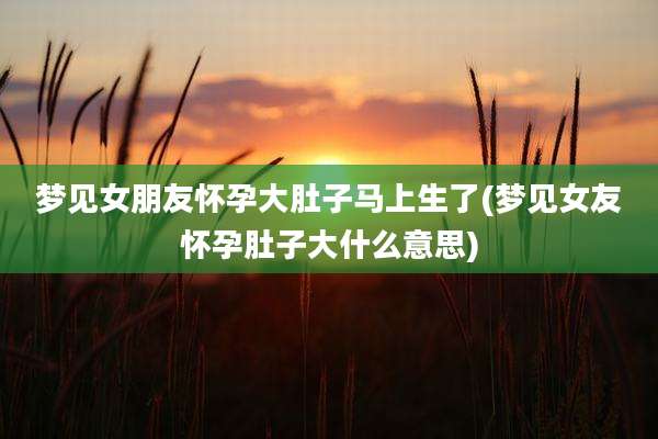 梦见女朋友怀孕大肚子马上生了(梦见女友怀孕肚子大什么意思)