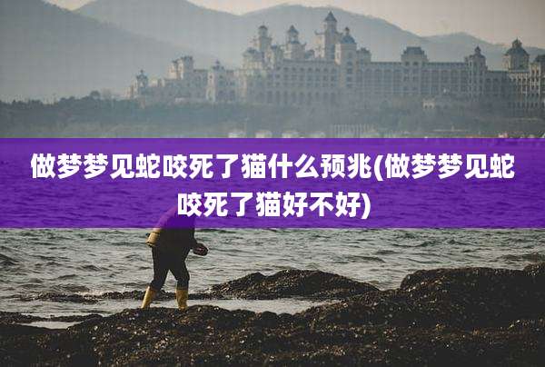 做梦梦见蛇咬死了猫什么预兆(做梦梦见蛇咬死了猫好不好)